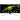 Main Image for MSI MAG 345CQR 34" Class UW-QHD Curved Screen Gaming LED Monitor - 21:9 - Metallic Black