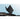 Alternate-Image20 Image for Asus Chromebook CX1 CX1700 CX1700CKA-SS48F 17.3" Chromebook - Full HD - Intel Celeron N4500 - 4 GB - 128 GB Flash Memory - Mineral Gray