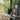Alternate-Image1 Image for HP EliteDesk 8 G1i Desktop Computer - Intel Core Ultra 5 235 - vPro Technology - 16 GB - 512 GB SSD - Tower - Jack Black