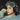 Alternate-Image2 Image for OneOdio Monitor 80 Open Back Professional Monitoring Wired Headphones