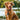 Alternate-Image13 Image for Mobile Pixels Portable Locator
