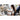 Alternate-Image16 Image for Microsoft Surface Pro (12th Edition) Copilot+ PC Tablet - 13" - vPro Technology - 16 GB - 256 GB SSD - Windows 11 Pro - 5G - Platinum
